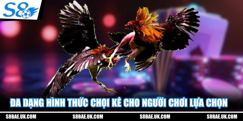 Đa dạng hình thức chọi kê cho người chơi lựa chọn