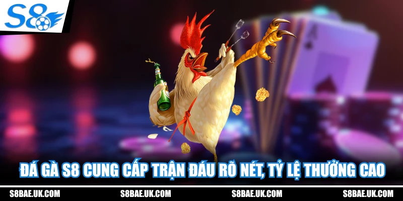 Đá gà S8 cung cấp trận đáu rõ nét, tỷ lệ thưởng cao